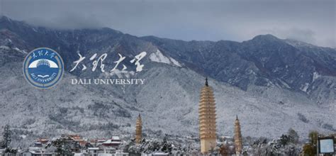 大理大学贴吧(大理大学贴吧研究生)缩略图