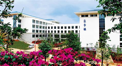 昆明学院医学院(昆明学院医学院老师简介)缩略图