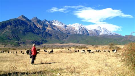 丽江旅游费用(丽江旅游费用多少钱)缩略图
