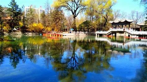 重庆到腾冲自驾游攻略(重庆到腾冲自驾游攻略路线)缩略图