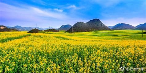 曲靖罗平天气预报(曲靖罗平天气预报15天)缩略图
