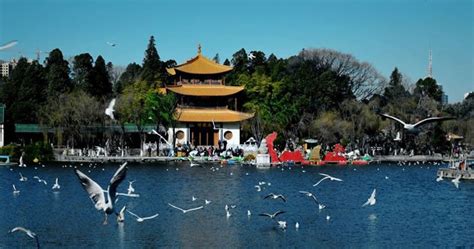 腾冲到芒市汽车票价(腾冲到芒市汽车票价多少)缩略图