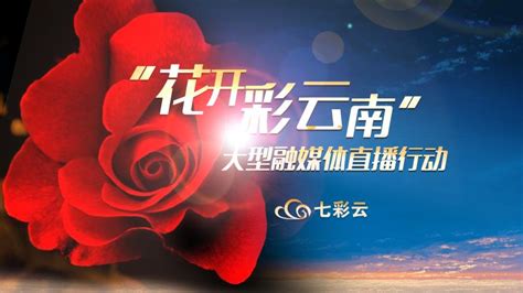 丽江新闻点播(丽江新闻综合频道重播)缩略图