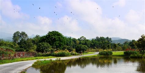 西双版纳中科院植物(西双版纳中科院植物园)缩略图