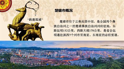 楚雄公司有哪些(楚雄分公司)缩略图
