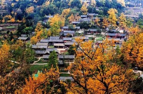 芒市腾冲银杏(芒市到腾冲银杏村有多少公里?)缩略图 芒市腾冲银杏(芒市到腾冲银杏村有多少公里?)缩略图