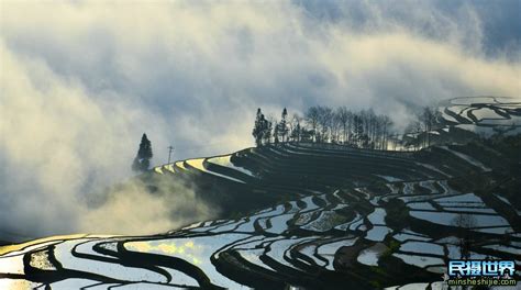 元阳梯田什么时候去最合适(云南元阳梯田最佳旅游季节)缩略图 元阳梯田什么时候去最合适(云南元阳梯田最佳旅游季节)缩略图
