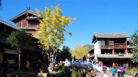 去丽江旅游要多少钱(去丽江旅游要多少钱昆明出发)缩略图