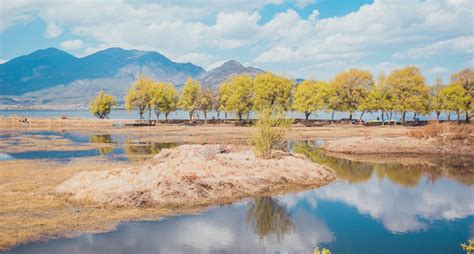 丽江最佳旅游时间(丽江最佳旅游时间是几月份)缩略图