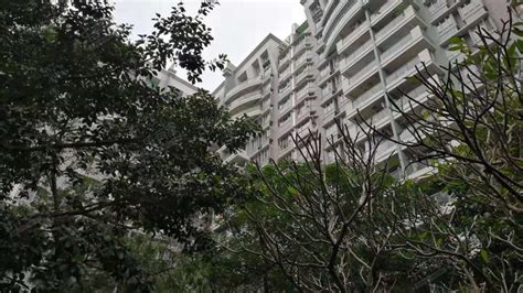 丽江花园左岸(丽江花园左岸房价)缩略图