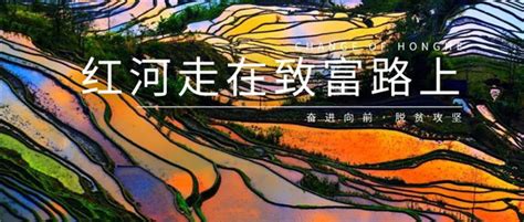 红河热线(红河热线电话是多少?)缩略图