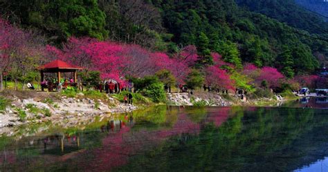 云南楚雄旅游景点(云南楚雄旅游景点大全)缩略图