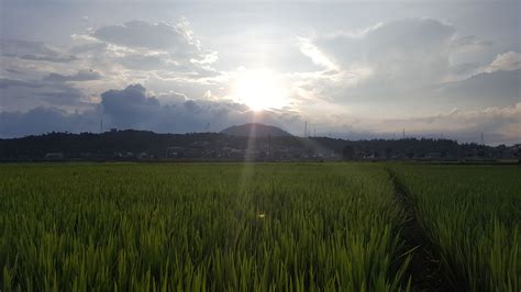 从芒市到腾冲(从芒市到腾冲坐车需要多少时间)缩略图