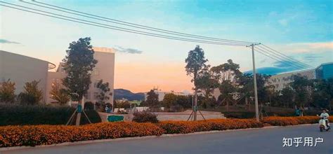 红河学院选课系统(红河学院选课系统简洁入口)缩略图