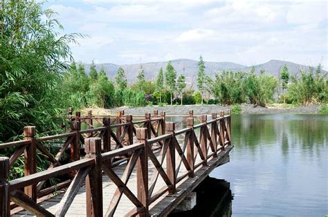 大理古城才村(大理古城才村码头)缩略图