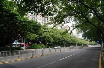 香格里拉攻略青楼(香格里拉青香阁)缩略图
