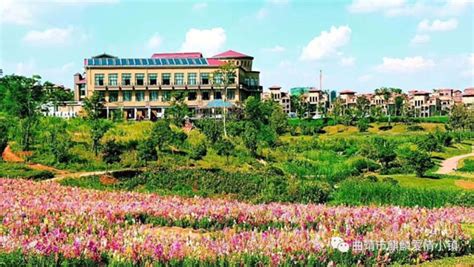 曲靖市的酒店(曲靖市的酒店有哪些)缩略图