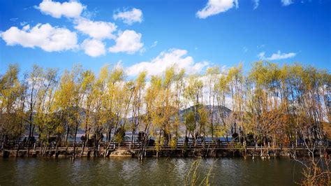 丽江的景点哪些(丽江的景点哪些好玩)缩略图