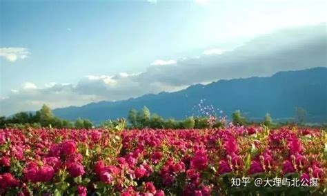 大理有几个景点(大理有几个景点必须玩的)缩略图