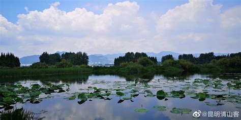 昆明滇池公园(昆明滇池公园图片)缩略图