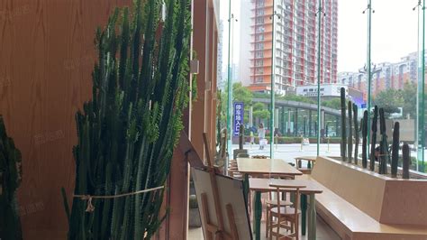 昆明广场租房(昆明广场租房价格)缩略图