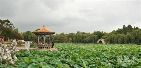 昆明主要景点(昆明主要景点有哪些)缩略图