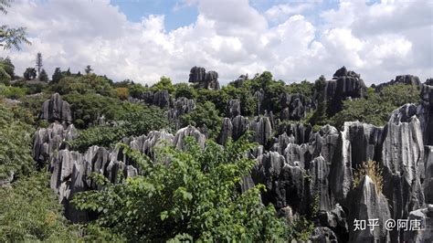昆明附近的旅游景点(昆明附近的旅游景点有哪些景点)缩略图