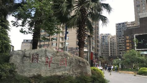 昆明翠园房价(昆明翠园房价多少)缩略图
