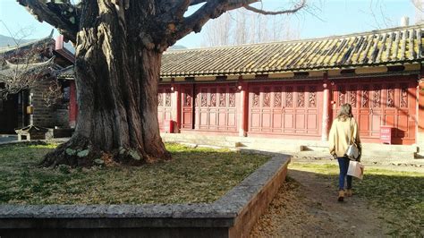 丽江白沙古镇(丽江白沙古镇和述龙医生)缩略图