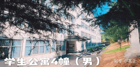 大理有哪些大学(云南大理有哪些大学)缩略图