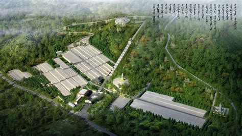 八宝山革命公墓(八宝山革命公墓都葬了哪些人)缩略图