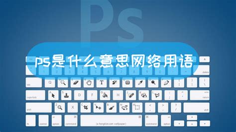 2p是什么意思,2p是什么意思网络语言缩略图