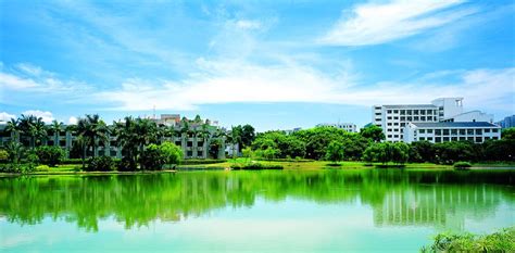 深圳大学在哪个区(深圳大学在哪个区和街道)缩略图