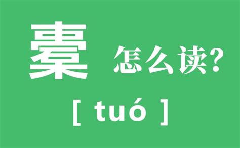 栖字怎么读,栖字怎么读音是什么缩略图