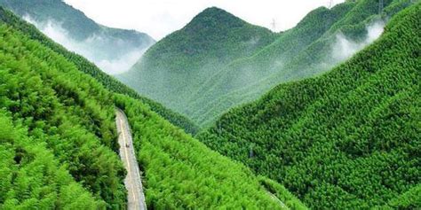 安吉在哪里(安吉在哪里办护照)缩略图