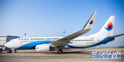 东海航空怎么样,东海航空怎么样好不好缩略图