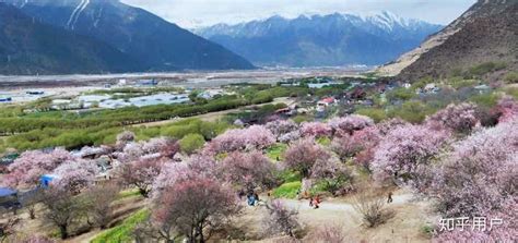 3月适合去哪旅游(3月适合去哪旅游推荐)缩略图