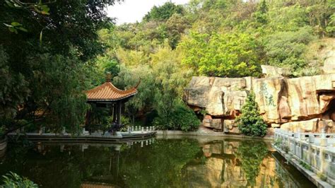 东莞哪里好玩(东莞哪里好玩旅游景区一日游)缩略图