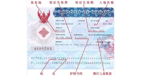 泰国旅游签证怎么办理,2023泰国旅游签证怎么办理缩略图