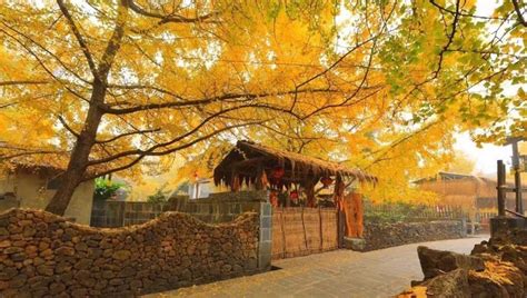 云南腾冲有哪些旅游景点(云南腾冲有哪些旅游景点图片)缩略图