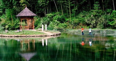 梅岭在哪里,梅岭三章的梅岭在哪里缩略图