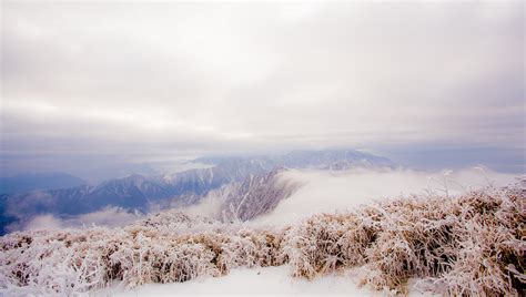 千佛山多高(千佛山多高海拔)缩略图