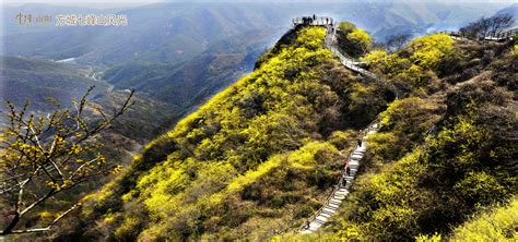 七峰山在哪里,南阳七峰山在哪里缩略图
