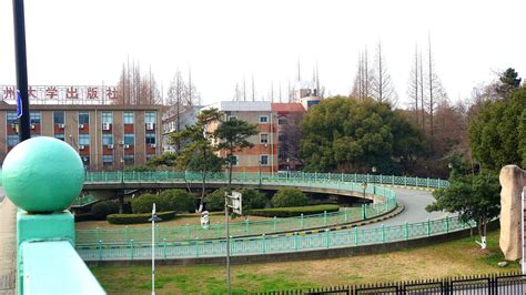 苏州大学在哪个区(苏州大学在哪个区什么街道)缩略图