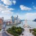上海有什么区(上海有什么区或什么镇)缩略图 上海有什么区(上海有什么区或什么镇)缩略图
