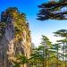 爬黄山要多久(爬黄山要多久时间)缩略图 爬黄山要多久(爬黄山要多久时间)缩略图