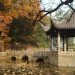 湖南大学有哪些,湖南大学有哪些专业缩略图 湖南大学有哪些,湖南大学有哪些专业缩略图