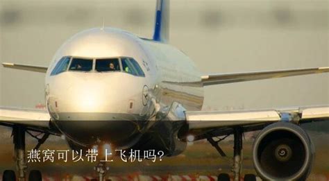 暖贴能带上飞机吗,暖贴能带上飞机吗国内缩略图