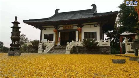 南京有什么山,南京有什么山值得爬缩略图