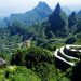 去张家界旅游多少钱(去张家界旅游多少钱一个人?)缩略图 去张家界旅游多少钱(去张家界旅游多少钱一个人?)缩略图